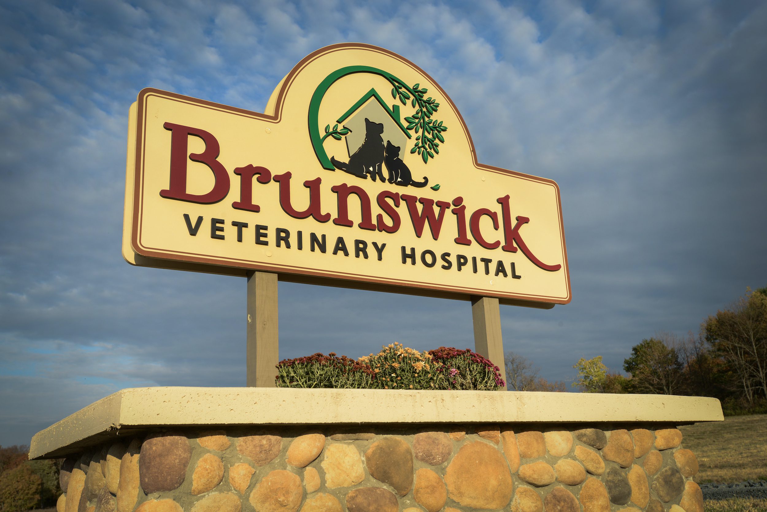 BVC_7478-2
