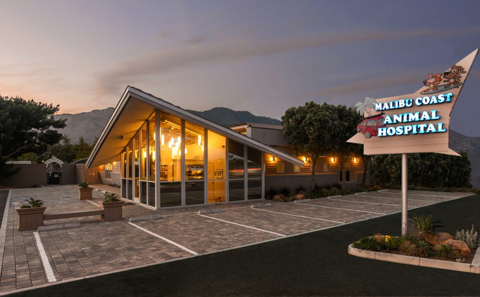 Malibu Coast Animal Hospital TerWisscha Construction