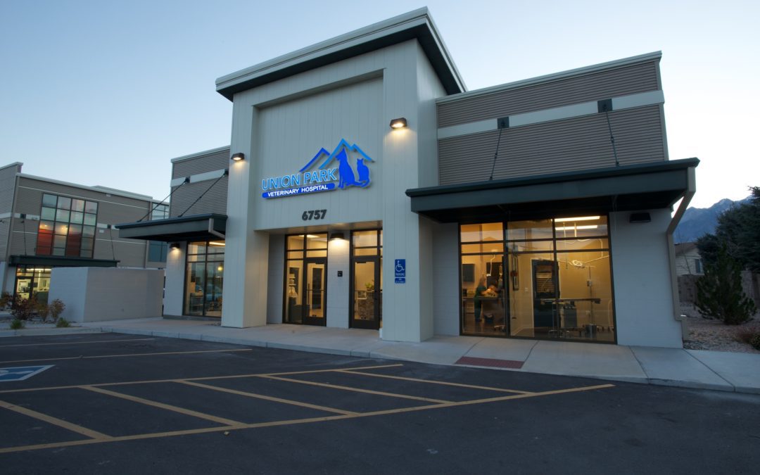 Union Park Veterinary Hospital