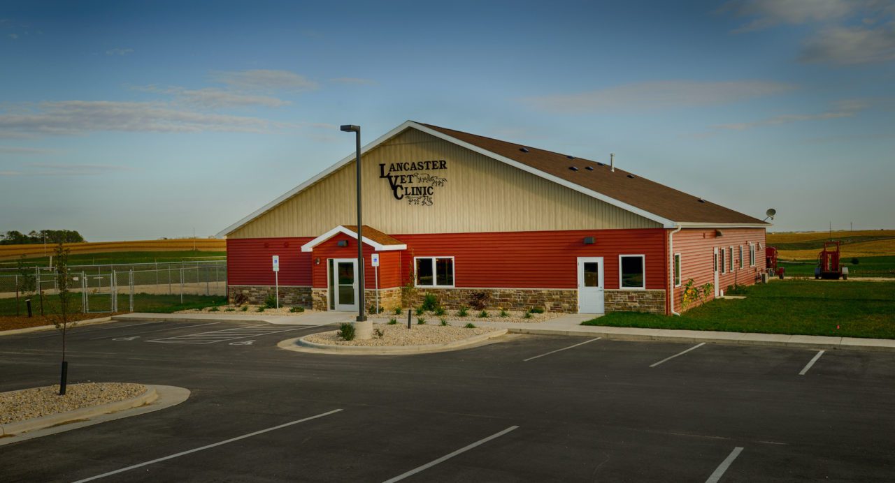 Lancaster Vet Clinic TerWisscha Construction & Design