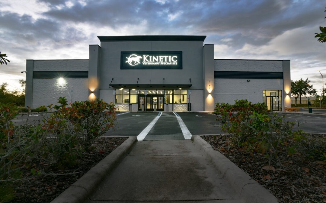 Kinetic Veterinary Specialists