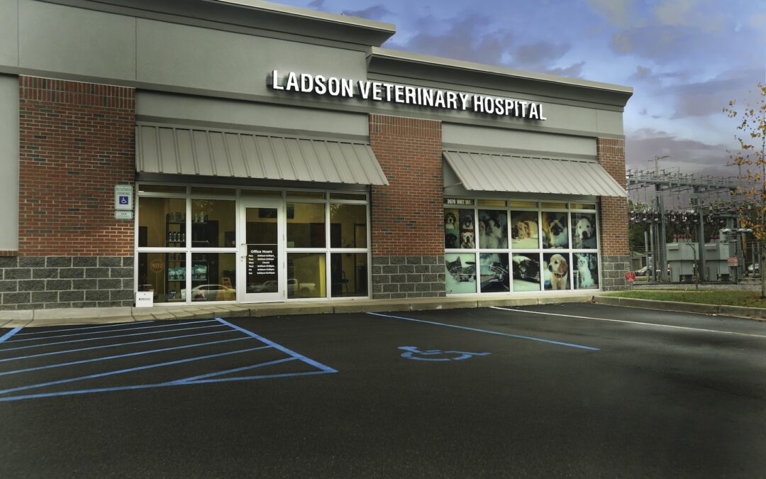 Ladson Veterinary Hospital