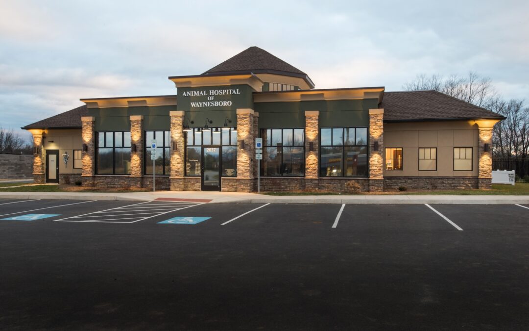 Animal Hospital of Waynesboro