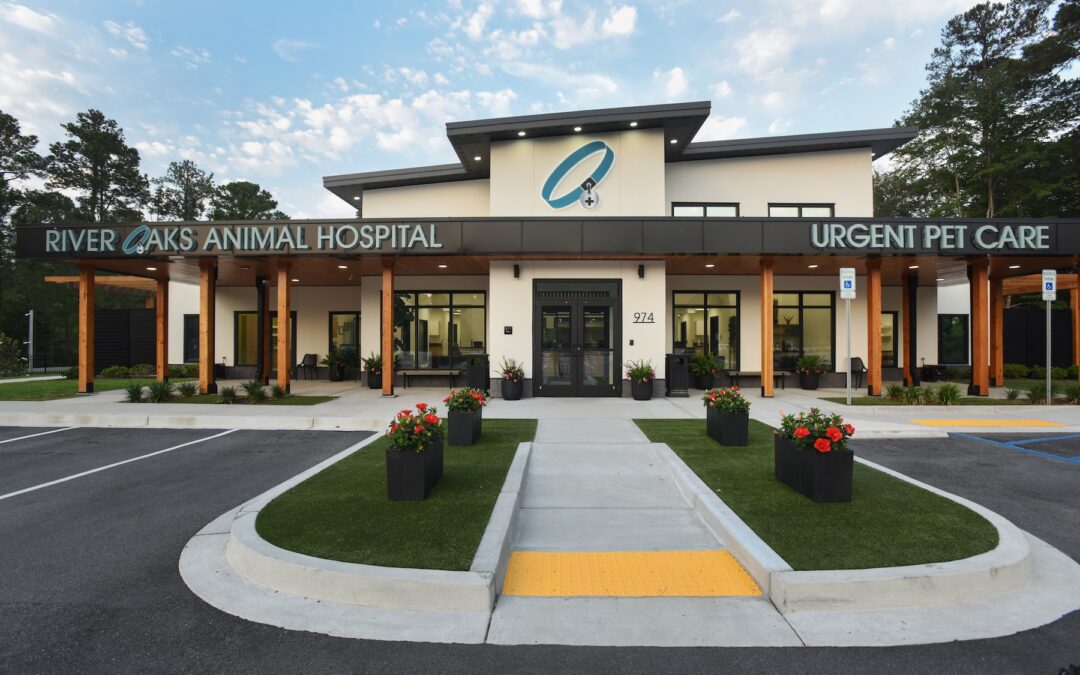 River Oaks Animal Hospital